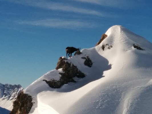 Résidence Les Pleïades - achatreventelmnp - photo 7