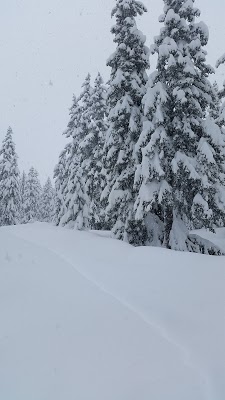 RésidenceLaRosiere-achatreventelmnp-photo7