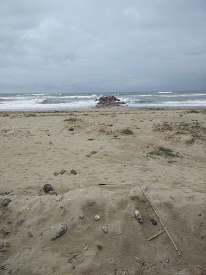 Résidence Mas de la Mer  - achatreventelmnp - photo 3