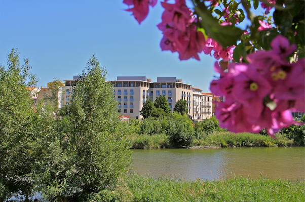 Résidence Perpignan (les Sénioriales) - achatreventelmnp - photo 9