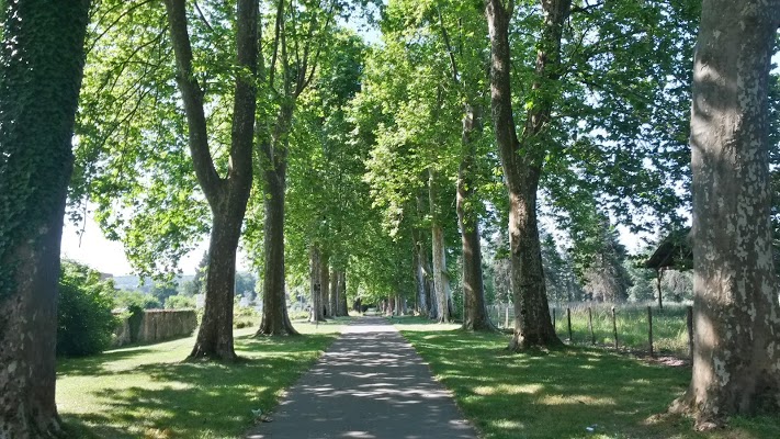 Résidence Trelissac - achatreventelmnp - photo 6