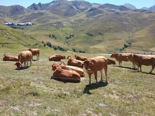 RésidenceLesAdrets(Goélia)-achatreventelmnp-photo3